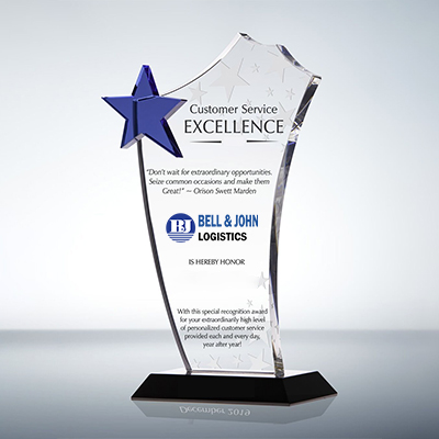 Customer Service Excellence Award